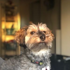 Meet your Posher, Franzenny